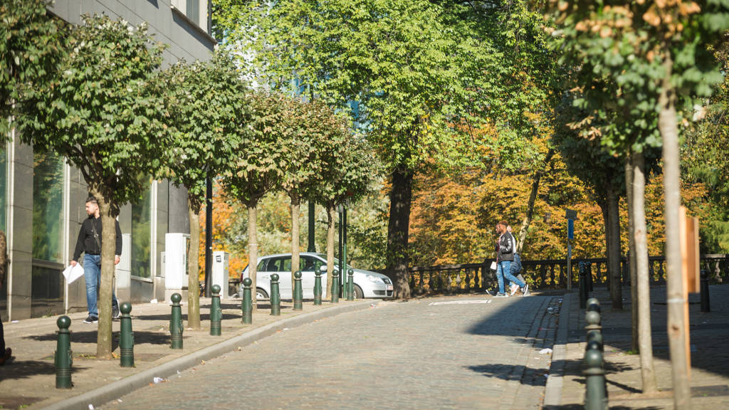 Urban Court - View of Marais district and trees